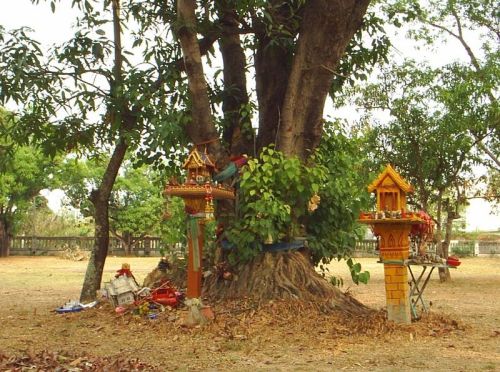 Spirit Houses by a sacred tree in Thailand. By Henry Flower at en.wikipedia (Transfered from en.wikipedia) [GFDL (www.gnu.org/copyleft/fdl.html) or CC-BY-SA-3.0 